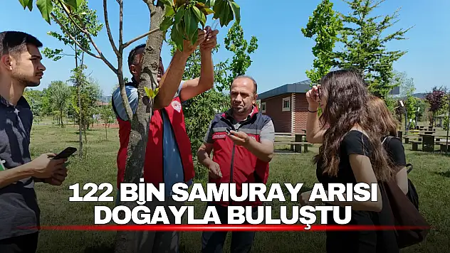 Kahverengi Kokarcaya Karşı Yeni Hamle