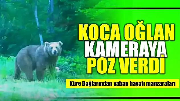 Kameraya poz verdi