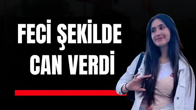 Kamyon çarptı