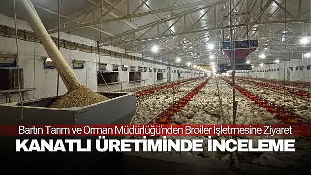 Kanatlı Üretiminde İnceleme
