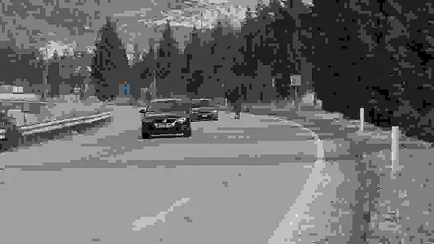 Kara yoluna çıkan eşek trafiği tehlikeye düşürdü
