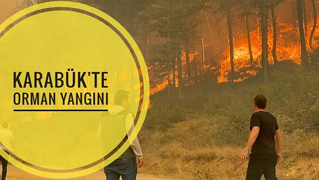 Karabük'te Orman Yangını