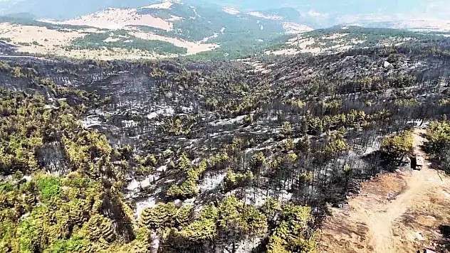 Karabük'te orman yangınının ardından yürek burkan manzara