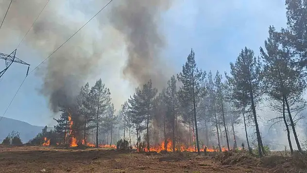 Karabük'te ormanlık alanda çıkan örtü yangını kontrol altına alındı