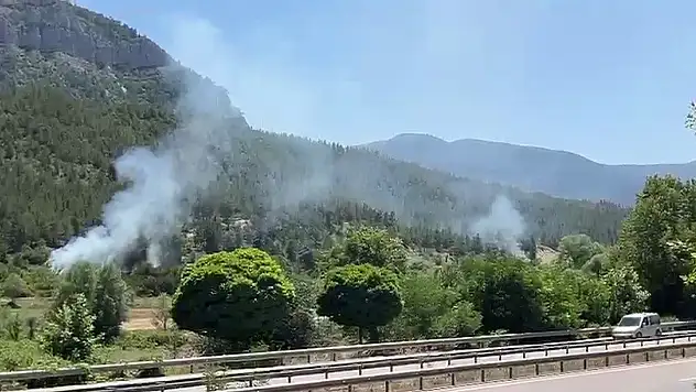 Karabük'te örtü yangınları büyümeden söndürüldü
