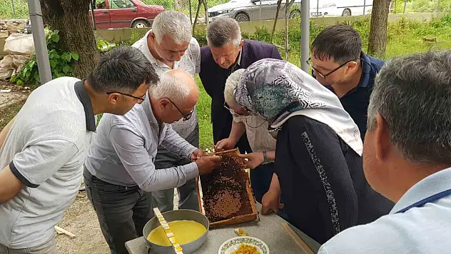 Karabük'te üreticiler ana arı yetiştirmenin püf noktalarını öğrendi