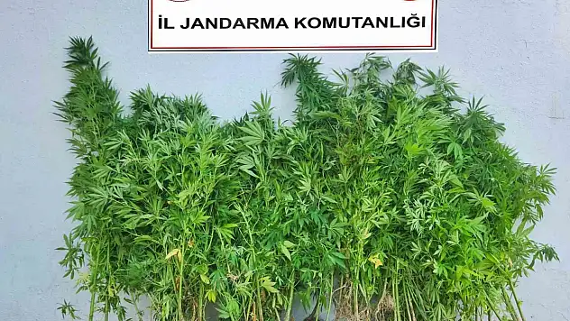 Uyuşturucu operasyonu: 6 şüpheli adliyeye sevk edildi