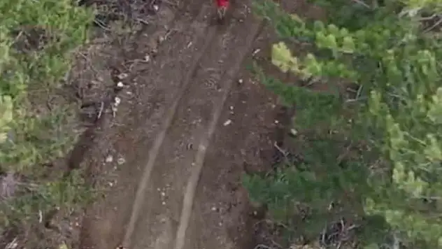 Karabük'te yasa dışı avcılık yapanlar dron ile tespit edildi