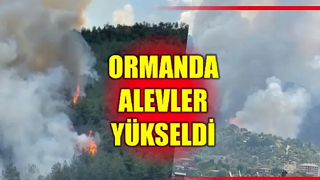 Karabük'ten kara haber