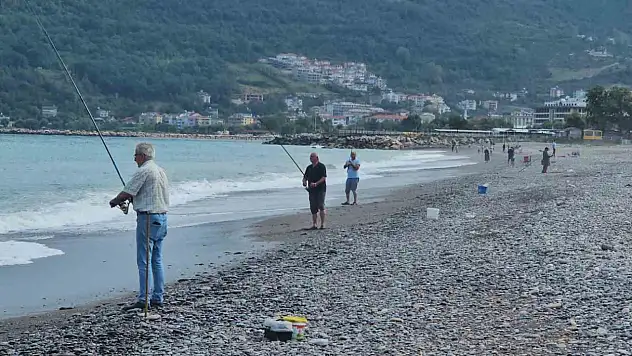Karadeniz'de balık bolluğu yaşanıyor: Oltasını kapan deniz kenarına koştu