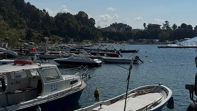 Karadeniz'de bu yıl hamsi beklentisi büyük