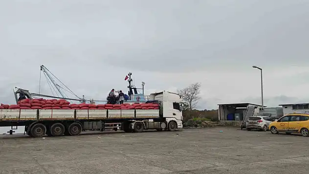 Karadeniz'den çıkartılan beyaz kum midyesine sıkı denetim