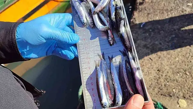 Karadeniz Ereğli'de balıkçılık denetimlerinde 153 tekneye e-seyir onayı verildi