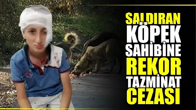 Karar emsal nitelikte