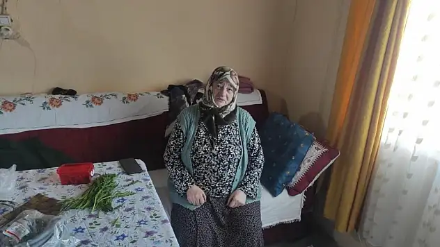 Yaşlı kadının evini soydular