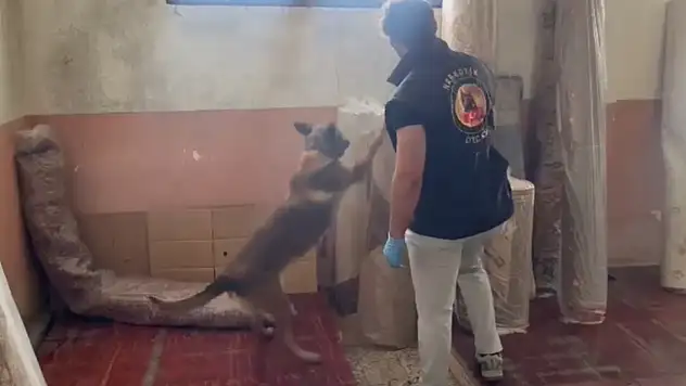 19 ayrı noktada eş zamanlı narkotik operasyonu: 15 gözaltı