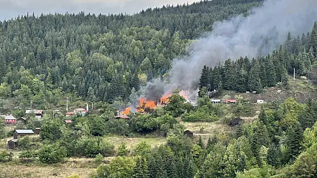 Kastamonu'da 4 ev alevlere teslim oldu