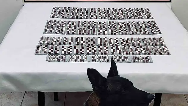Kastamonu'da 991 adet sentetik ecza hapı ile yakalanan şahıs tutuklandı