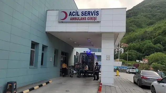 Kastamonu'da akrebin soktuğu kadın hastanelik oldu
