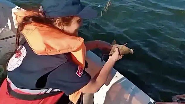 Barajda 2 bin metre ağ ele geçirildi, 108 balık tekrar suyla buluşturuldu