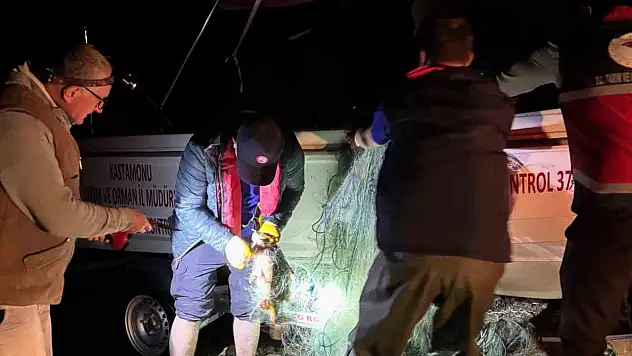 Kastamonu'da barajdan 2 bin 500 metre ağ çıktı, kurtarılan 225 sazan gölete bırakıldı