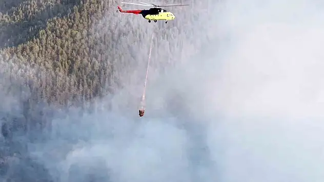 Kastamonu'da çıkan orman yangını kontrol altına alındı
