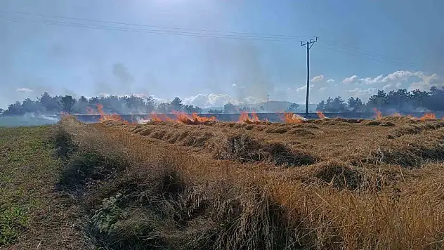 Çıkan yangında 13 dönümlük tarar zarar gördü