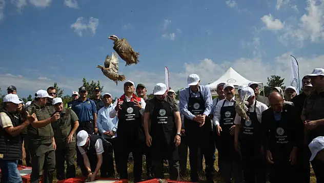 Kastamonu'da doğaya 2 bin 100 kınalı keklik salındı