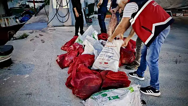 Kastamonu'da kaçak avlanan 142 kalkan balığına el konuldu