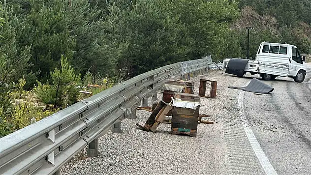 Kastamonu'da kamyonet bariyerlere çarptı: Etrafa saçılan kovandaki arılar telef oldu