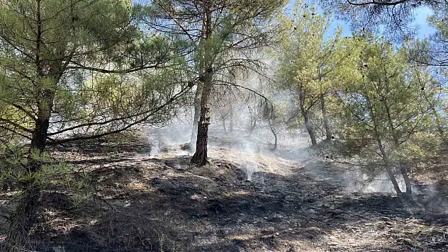 Orman yangını kısa sürede söndürüldü