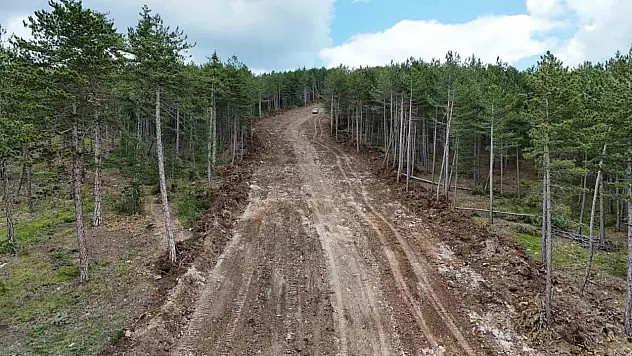 Kastamonu'da ormanları yangınlardan korumak için emniyet yolu çalışmaları sürüyor