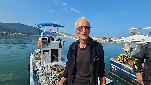 Kastamonu'da palamut bolluğu: Tanesi 75 TL'ye satılıyor