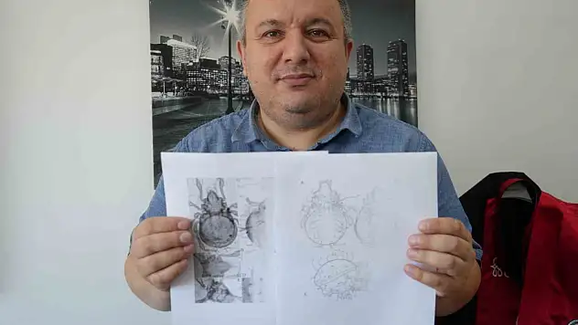 Kastamonu'da tespit edilen yeni akar türü bilim literatürüne kazandırıldı