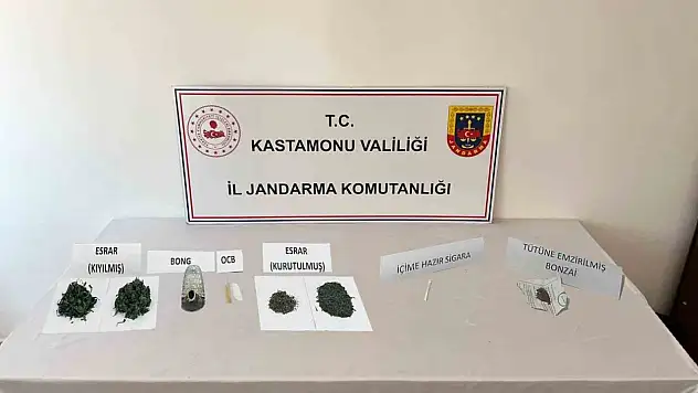 Kastamonu'da uyuşturucu operasyonları: 2 gözaltı