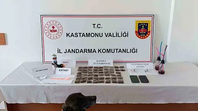 Kastamonu'da uyuşturucu operasyonu: 1 tutuklama