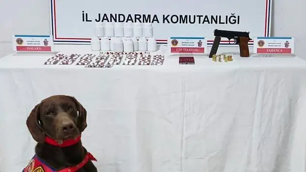 Kastamonu'da uyuşturucu operasyonu: 1 tutuklama