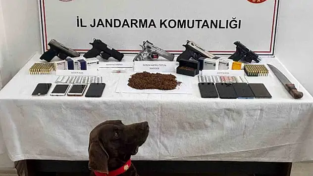 Kastamonu'da uyuşturucu operasyonu: 9 gözaltı