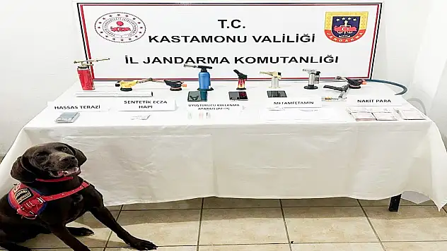 Kastamonu'da uyuşturucu operasyonu: 1 gözaltı