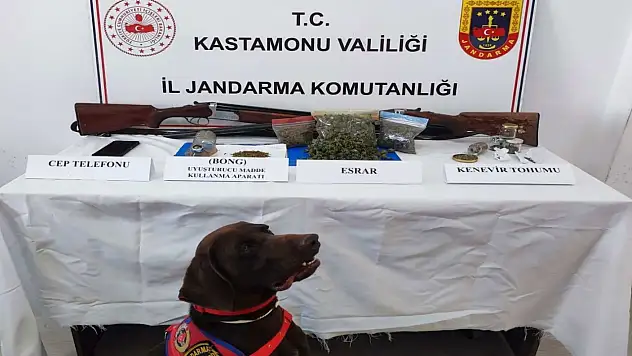 Kastamonu'da uyuşturucu operasyonları: 2 gözaltı