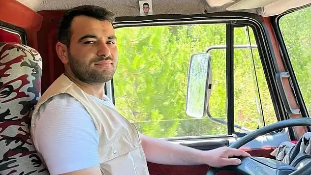 Kastamonu'da üzerine ağaç devrilen şahıs yaralandı