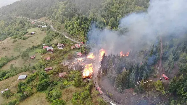 Kastamonu'daki köy yangında 9 ev küle döndü