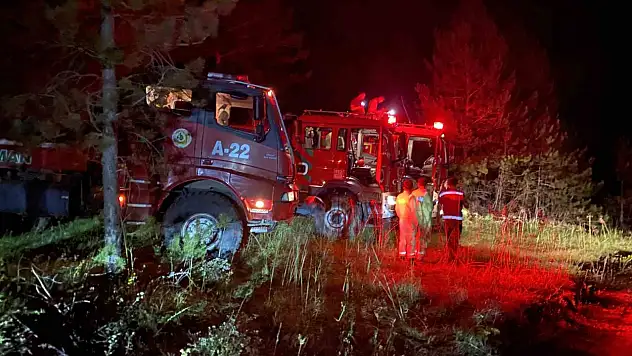 Kastamonu'daki orman yangını kontrol altına alındı