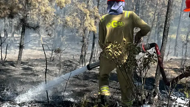 Kastamonu'daki orman yangını söndürüldü
