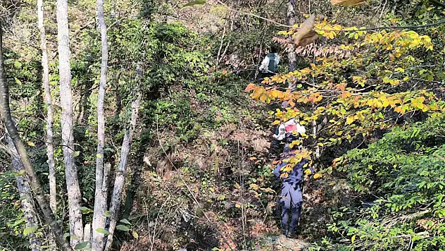 Kayıp annenin cesedini kuzgunu takip eden vatandaşlar bulmuş