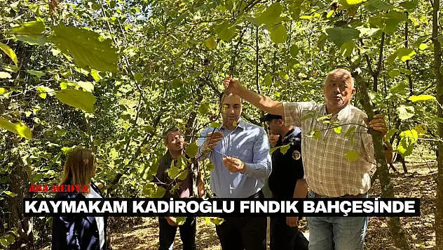 Kaymakam Kadiroğlu Fındık Bahçesinde