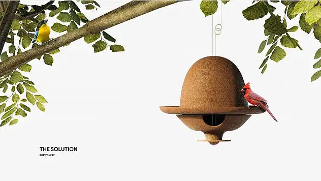 KBÜ mezunu Salman'a Seoul Design Awards'ta üç ödül