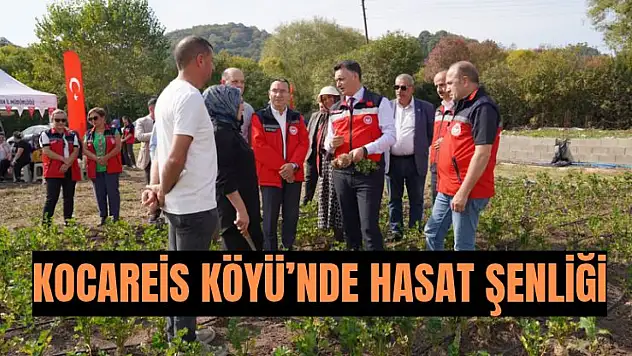 Kerevizde hedef 5 ton