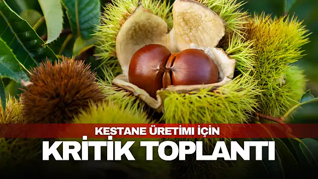Kestane Üretimi İçin Kritik Toplantı