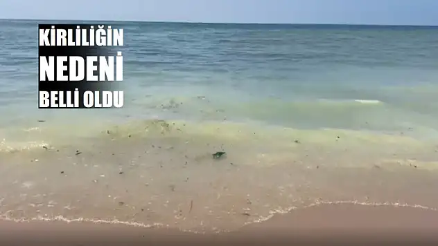 Kirliliğin sebebi belli oldu
